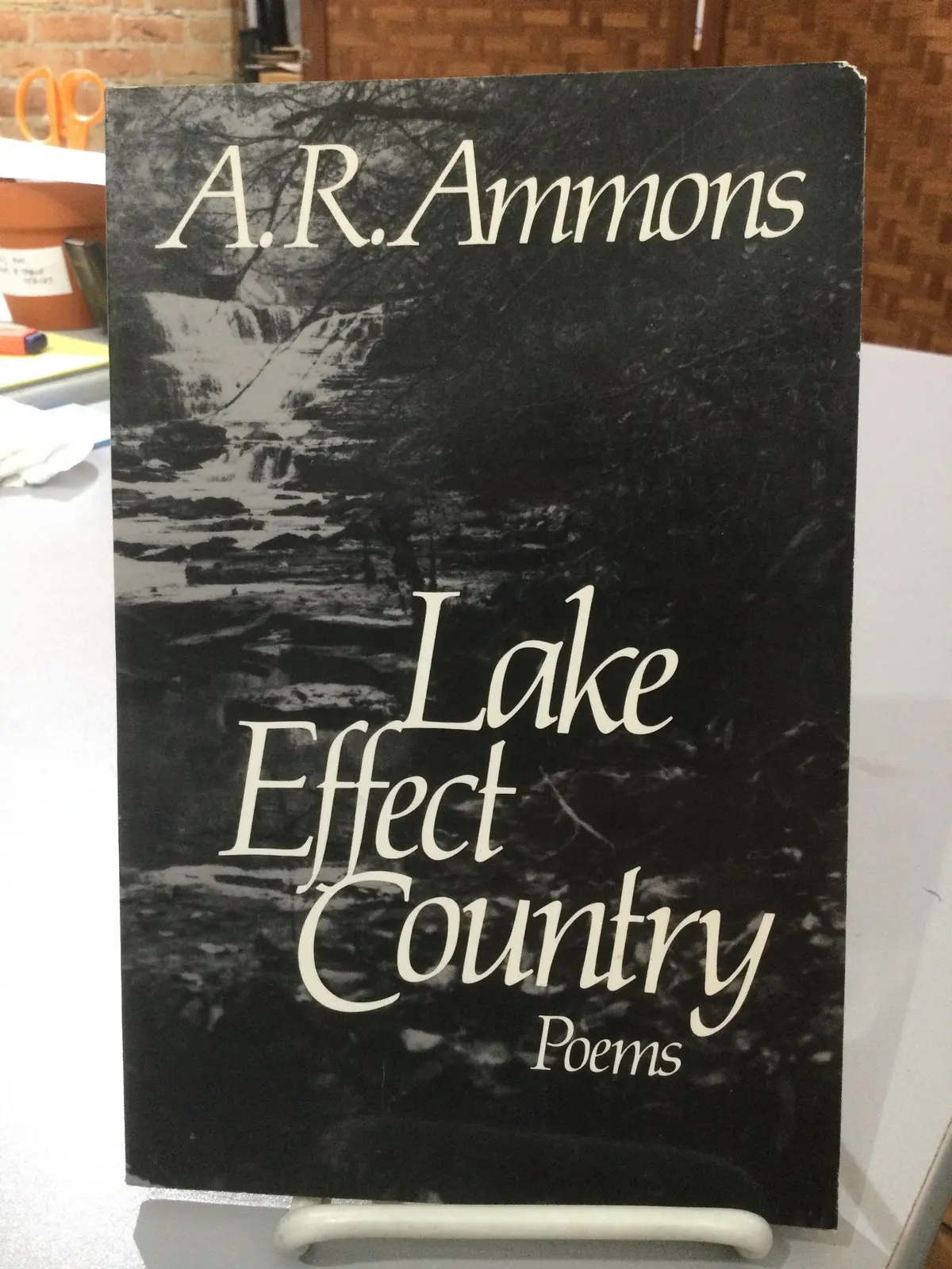 Ammons, A. R.: Lake Effect Country [Used Paperback] 1