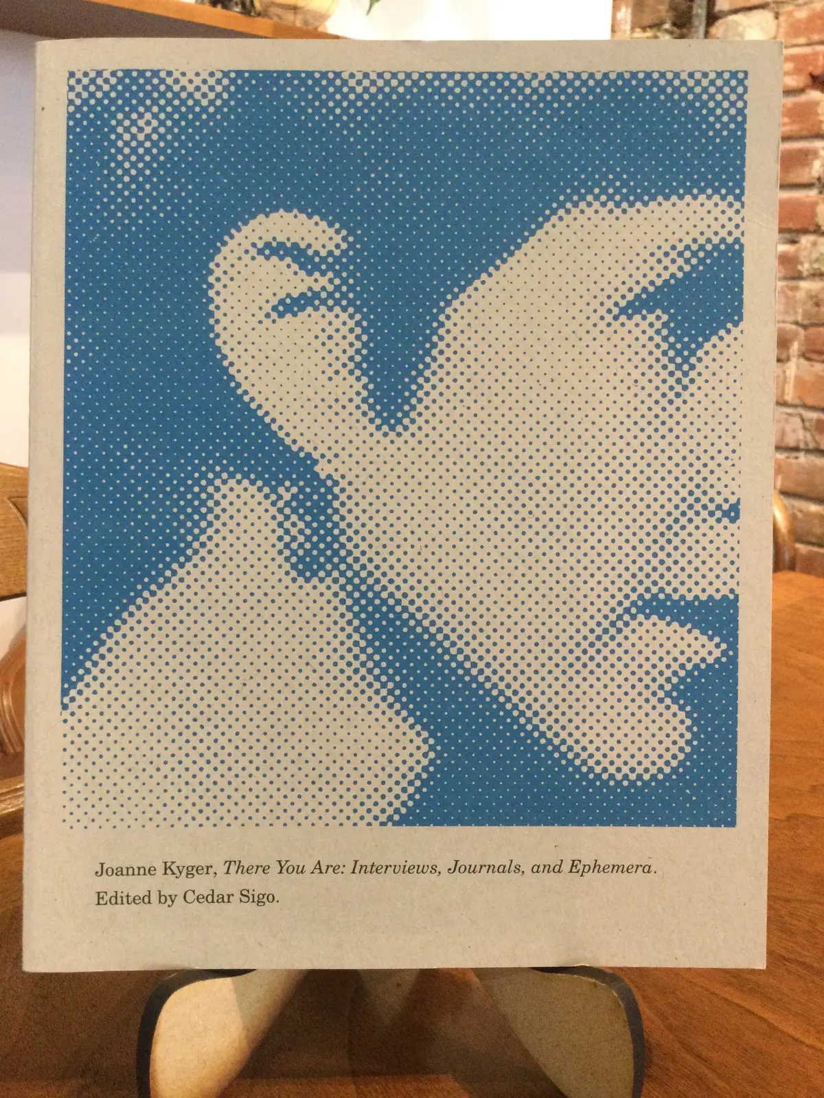 Kyger, Joanne / Sigo (Ed.): There You Are [Used Paperback] 1