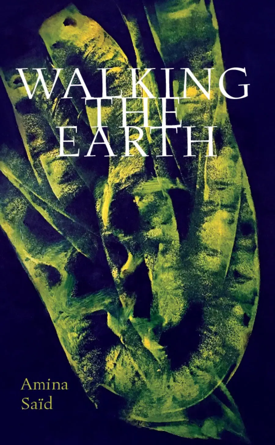 Saïd, Amina / Thompson, Peter (Tr.): Walking The Earth 1