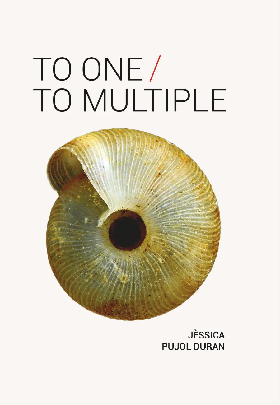 Duran, Jèssica Pujol / Parker, Richard (Tr.): To One / To Multiple 1