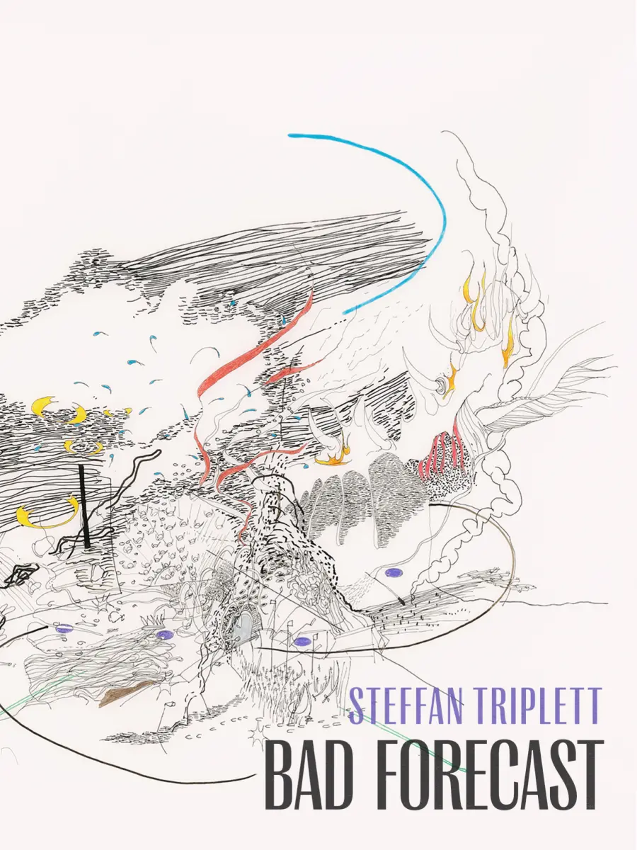 Triplett, Steffan: Bad Forecast 1