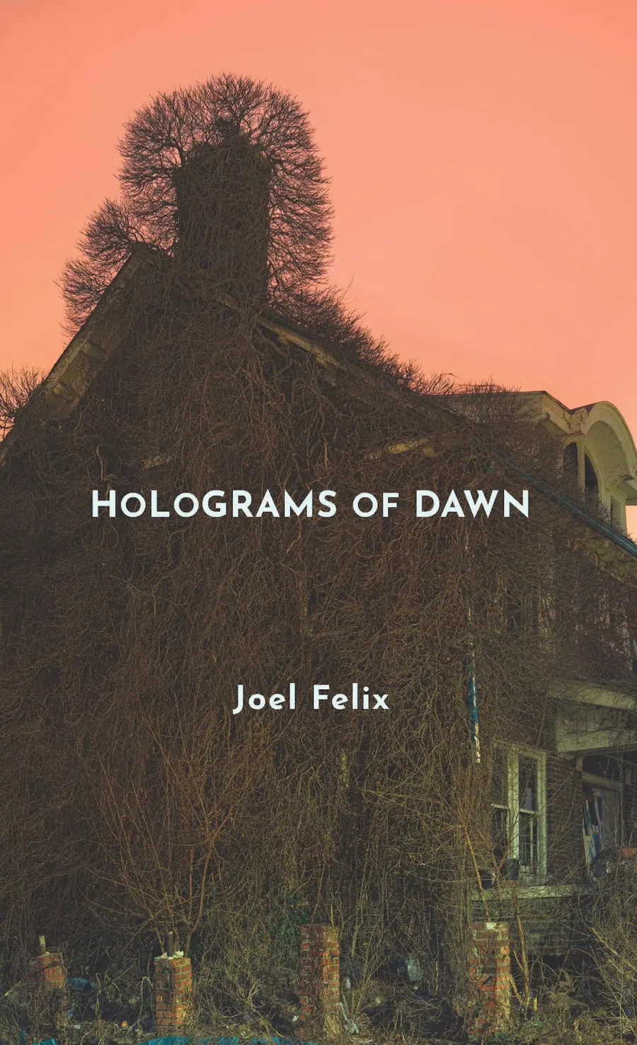 Felix, Joel: Holograms Of Dawn 1