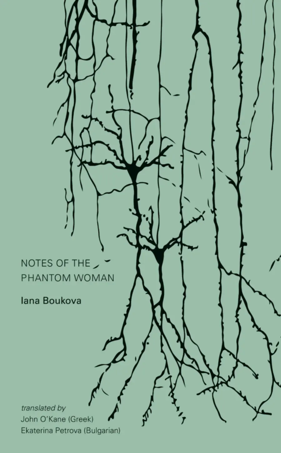 Boukova, Iana / O'kane & Petrova (Trs.): Notes Of The Phantom Woman 1