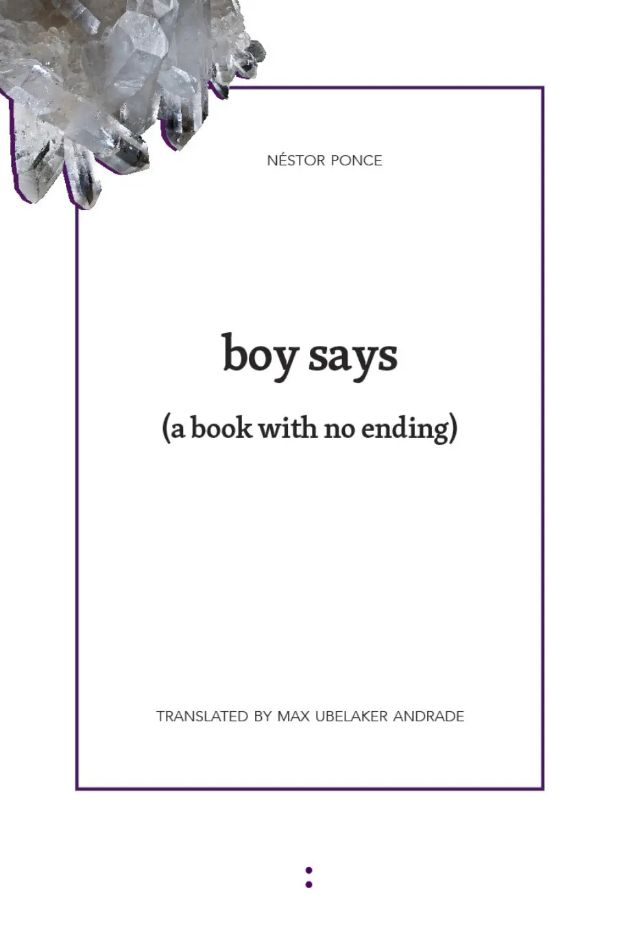 Ponce, Néstor / Andrade, Max Ubelaker (Tr.): Boy Says 1