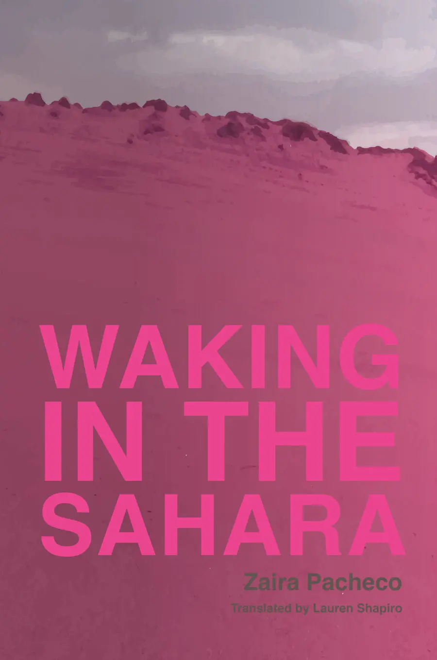 Pacheco, Zaira / Shapiro Lauren (Tr.): Waking In The Sahara 1