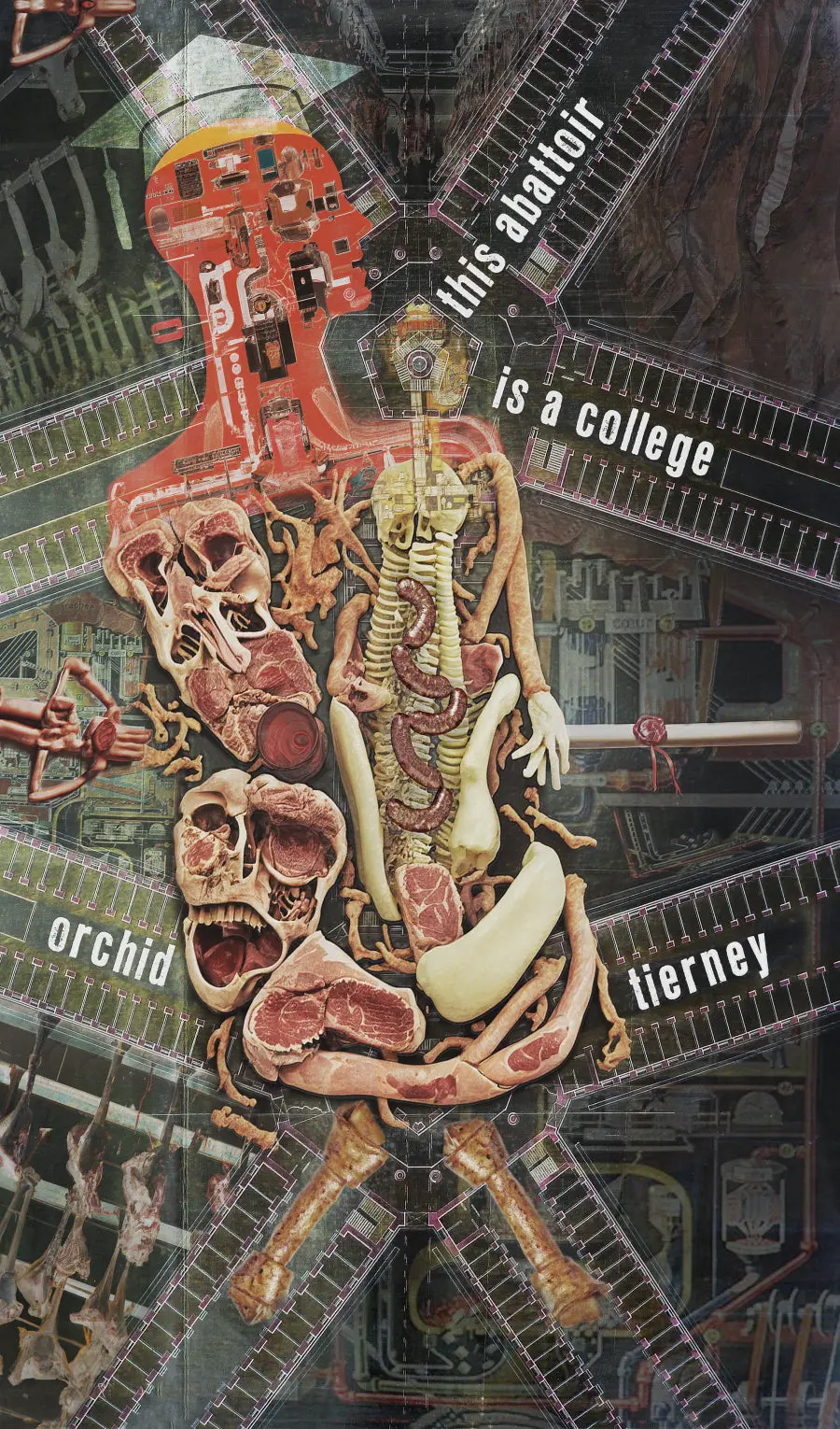 Tierney, Orchid: This Abattoir Is A College 1