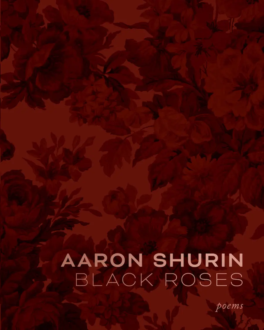 Shurin, Aaron: Blck Roses 1