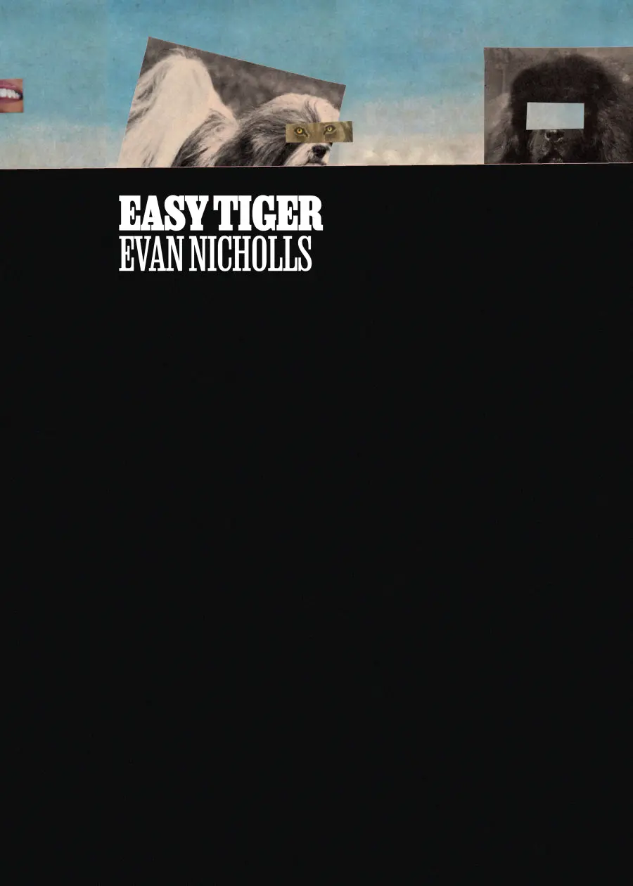 Nicholls, Evan: Easy Tiger 1