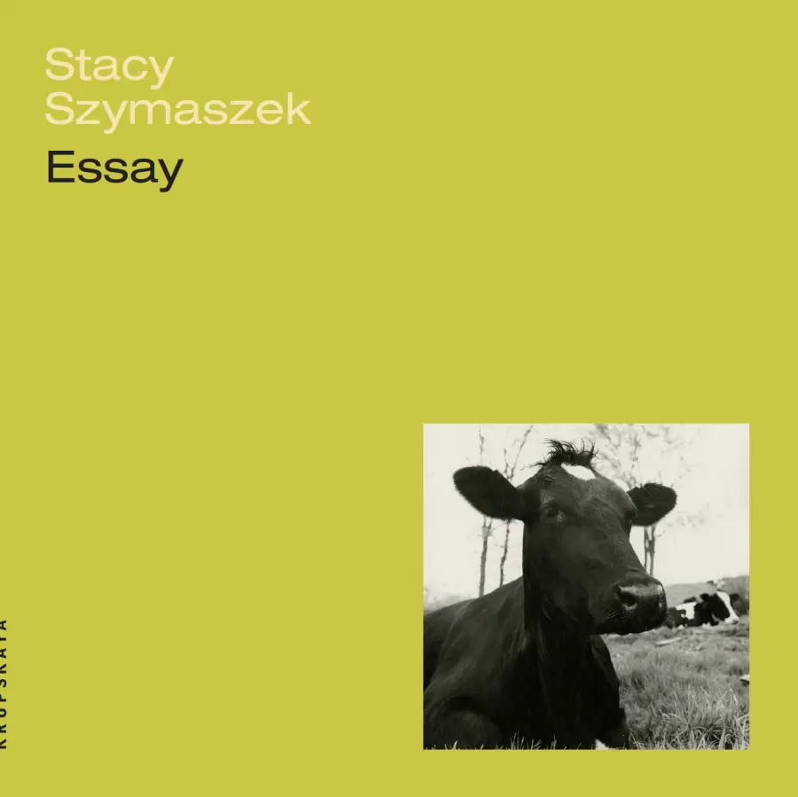 Szymaszek, Stacy: Essay 1