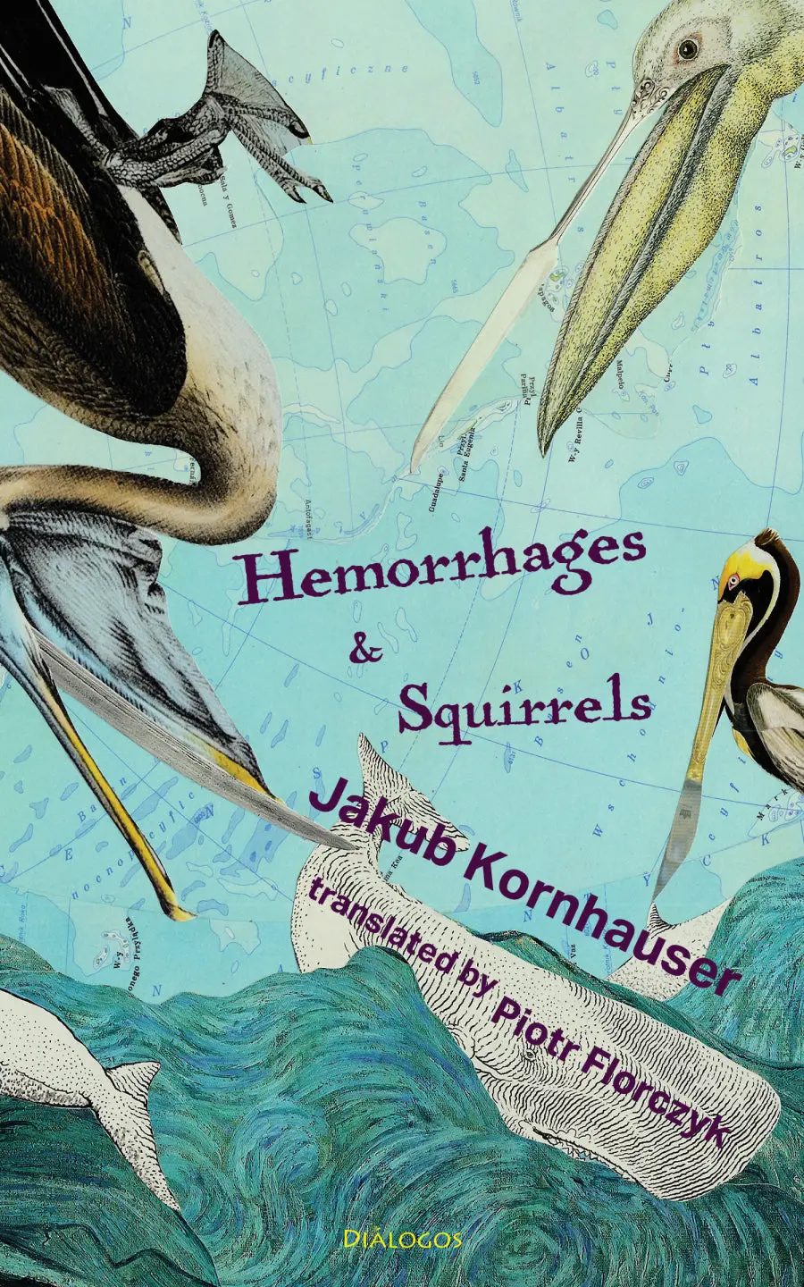 Kornhauser, Jakub / Florczyk, Piotr (Tr.): Hemorrhages & Squirrels 1