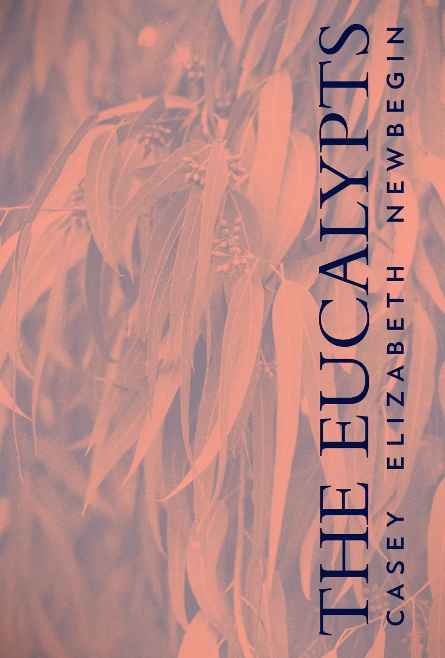 Newbegin, Casey: The Eucalypts 1