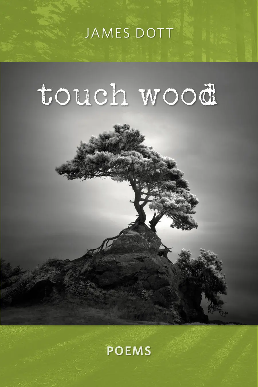 Dott, James: Touch Wood 1