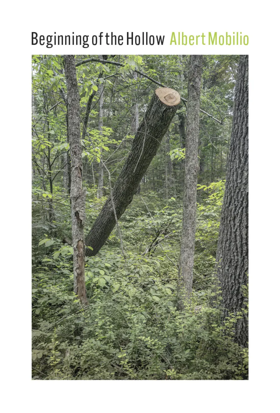 Mobilio, Albert: Beginning Of The Hollow 1