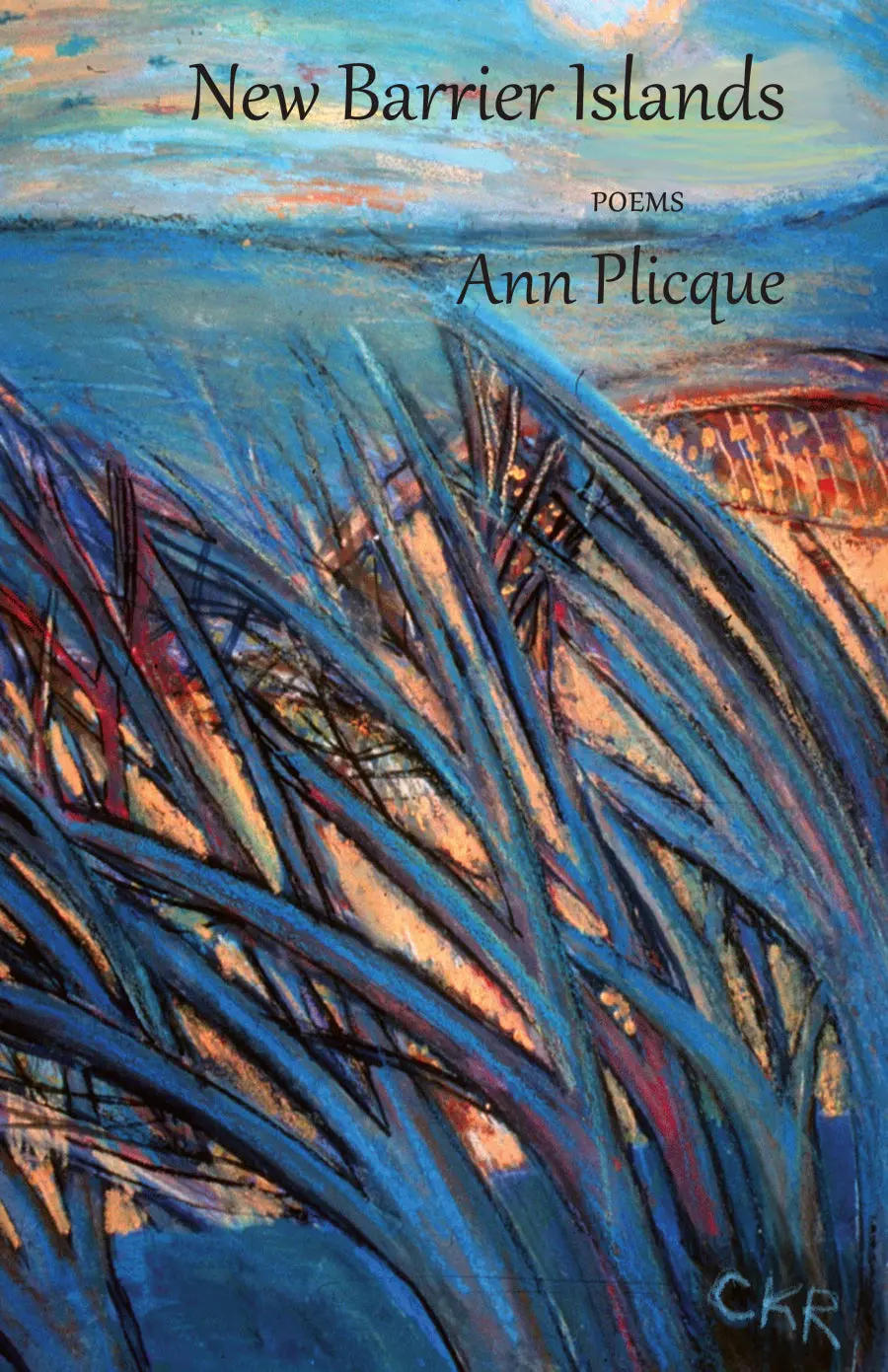 Plique, Ann: New Barrier Islands 1