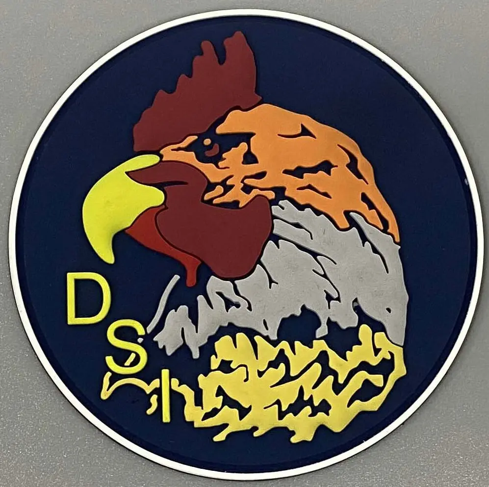 Day Systems Instructor Pvc Patch 1