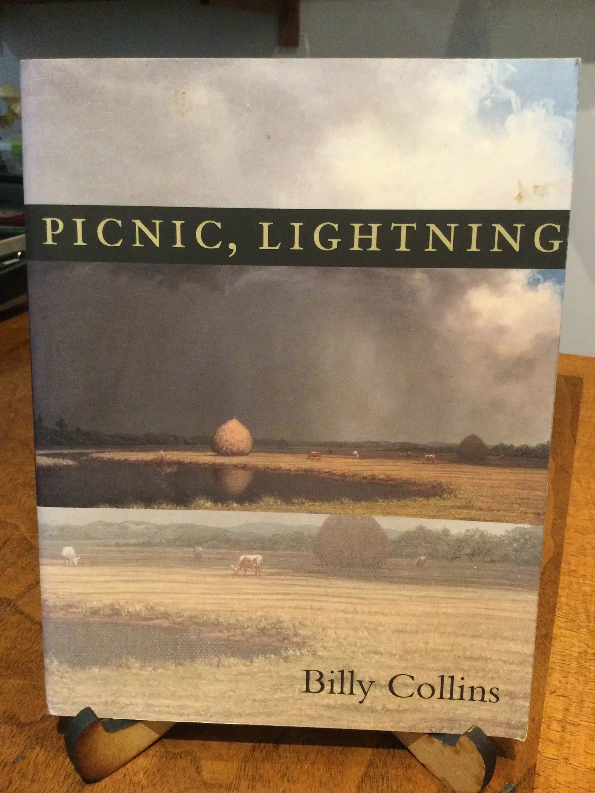 Collins, Billy: Picnic, Lightning [Used Paperback] 1