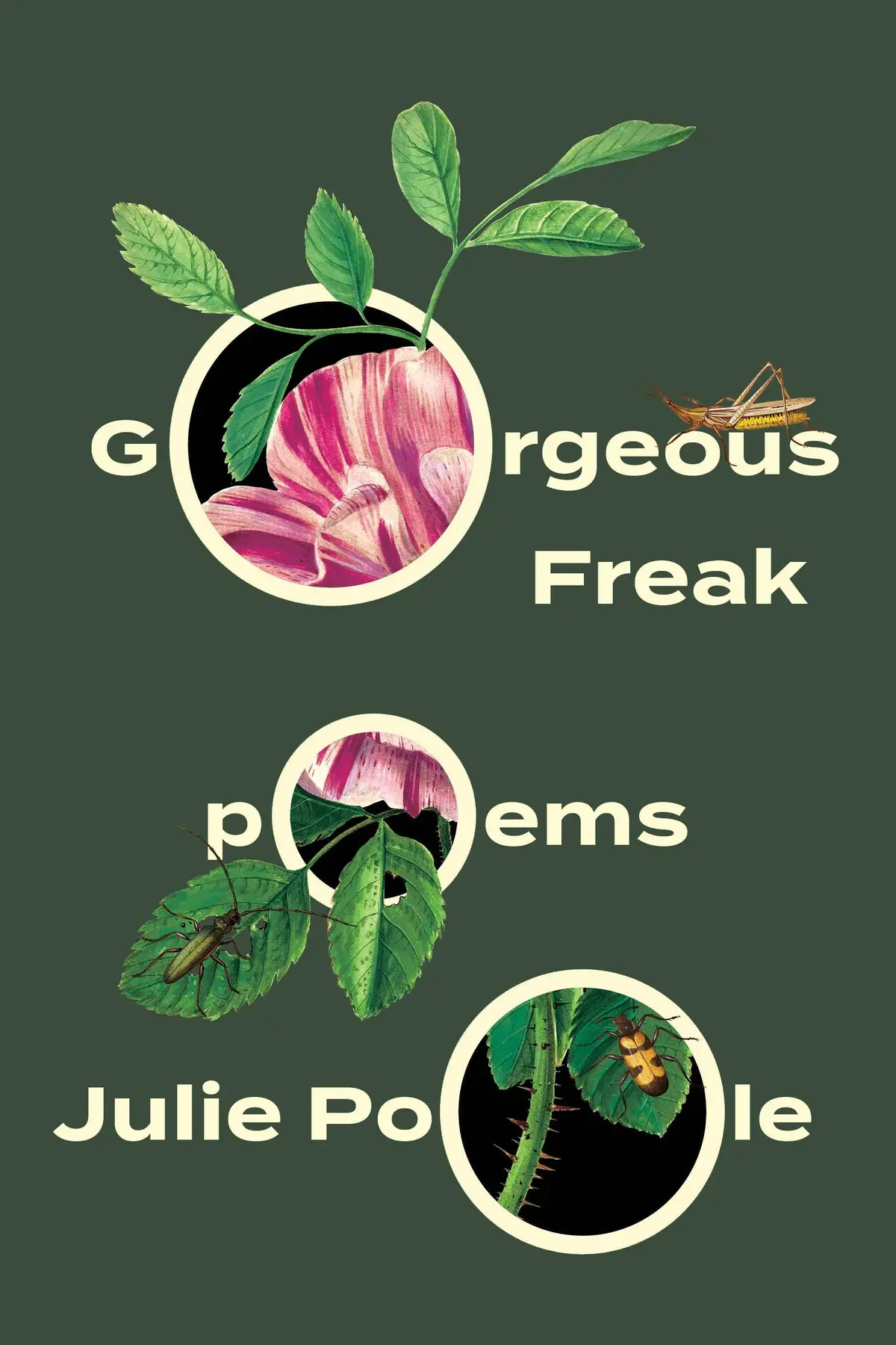 Poole, Julie: Gorgeous Freak 1