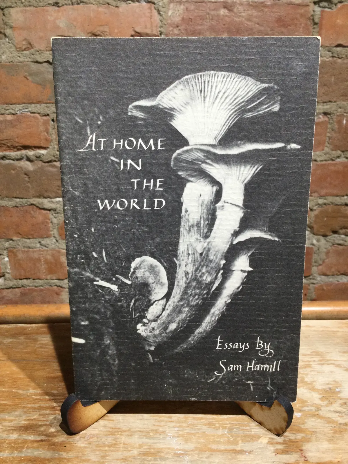 [Rare] Hamill, Sam: At Home In The World: Essays By Sam Hamill [Used Paperback] 1