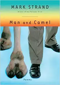 Strand, Mark: Man And Camel [Used Hardback] 1