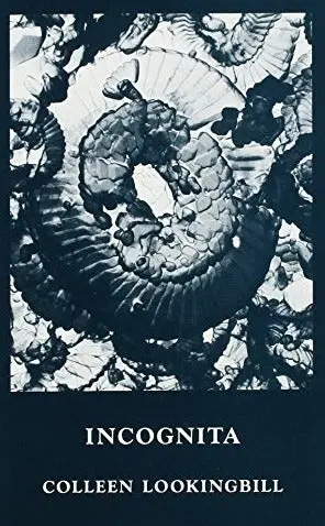 Lookingbill, Colleen: Incognita [Used Paperback] 1