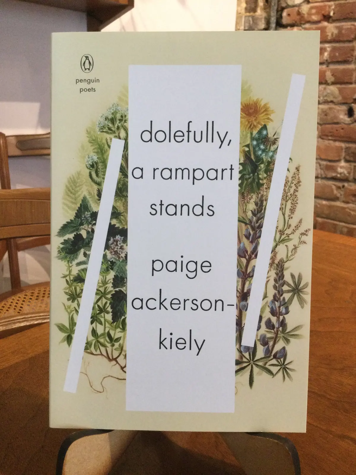 Ackerson-Kiely, Paige: Dolefully, A Rampart Stands [Used Paperback] 1