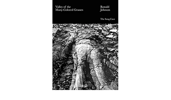 Johnson, Ronald: The Valley Of Many-Colored Grasses 1