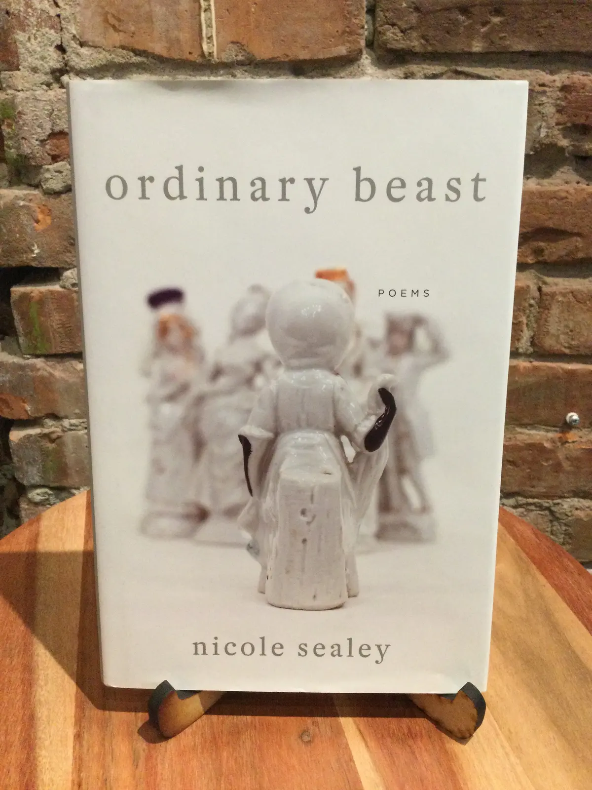 Sealey, Nicole: Ordinary Beast [Used Hardcover] 1