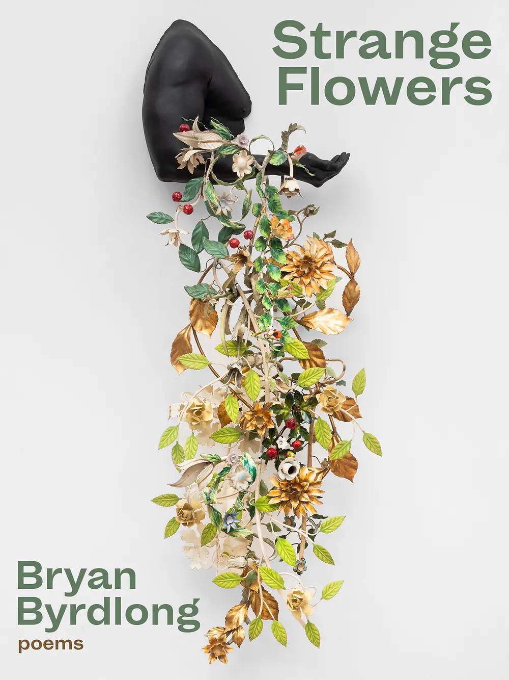 Byrdlong, Bryan: Strange Flowers 1