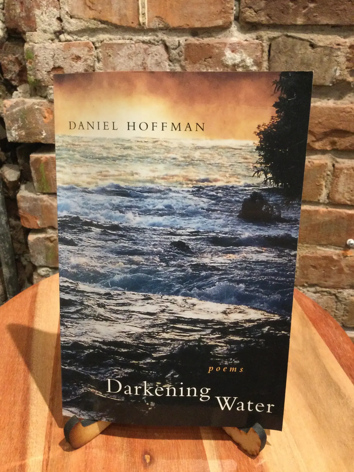 Hoffman, Daniel: Darkening Water [Used Paperback] 1