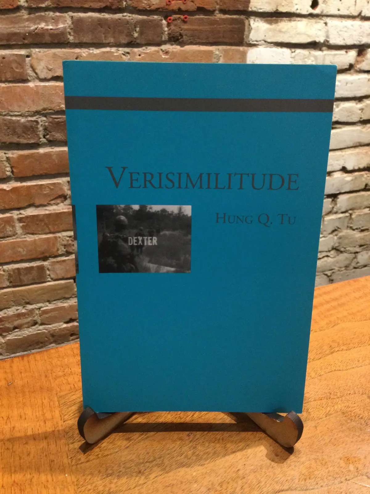 [Rare] Tu, Hung Q.: Verisimilitude [Used Paperback] 1