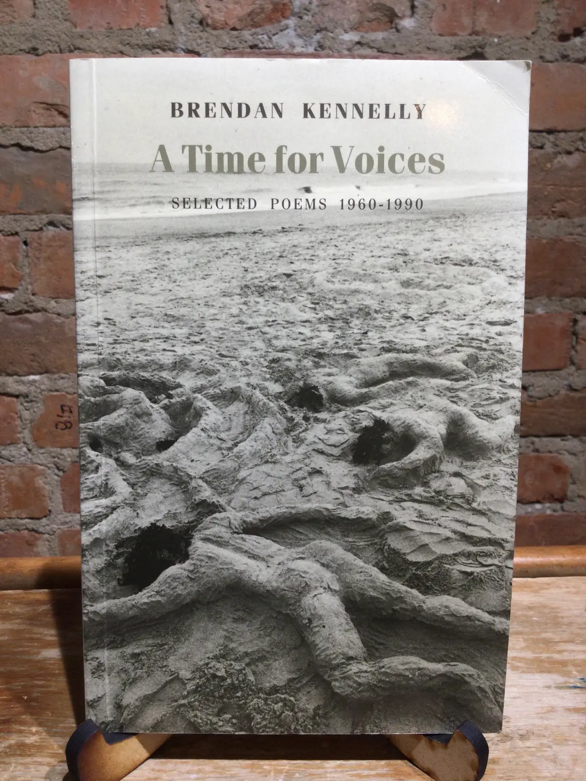 [Rare] Kennelly, Brendan: A Time For Voices: Selected Poems 1960-1990 [Used Paperback] 1