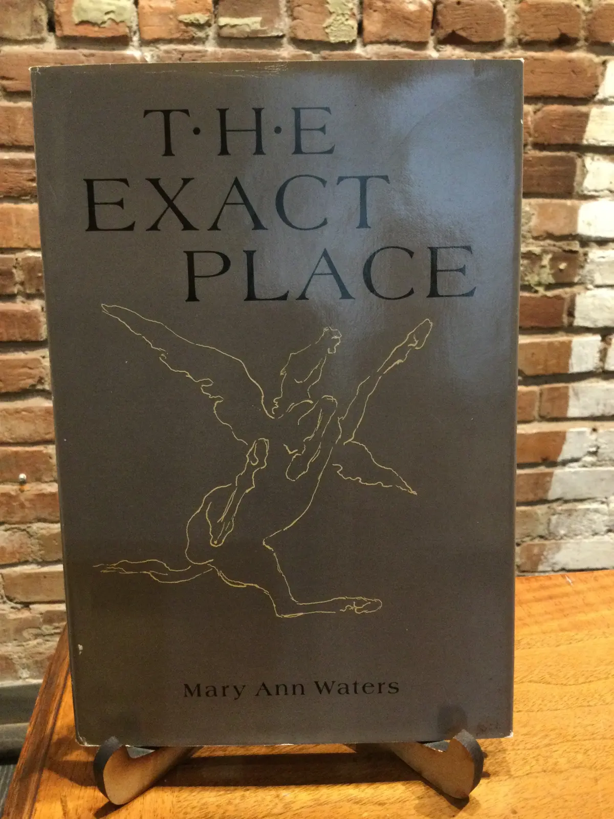 [Rare] Waters, Mary Ann: The Exact Place [Used Hardcover] 1