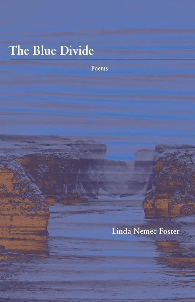 Foster, Linda Nemec: The Blue Divide 1