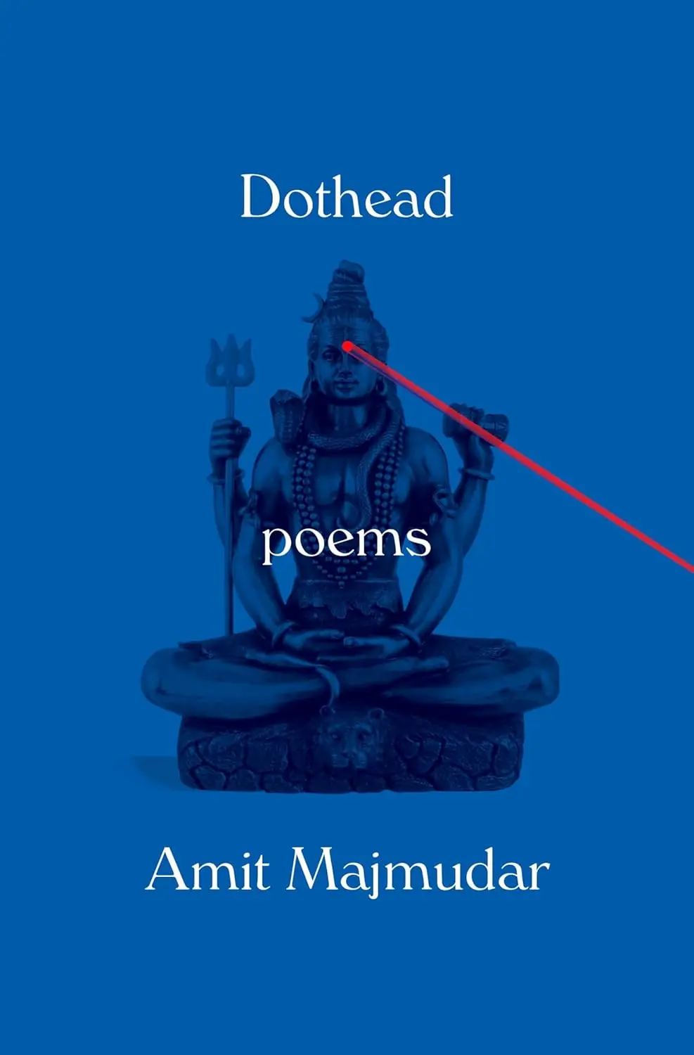 Majmudar, Amit: Dothead 1