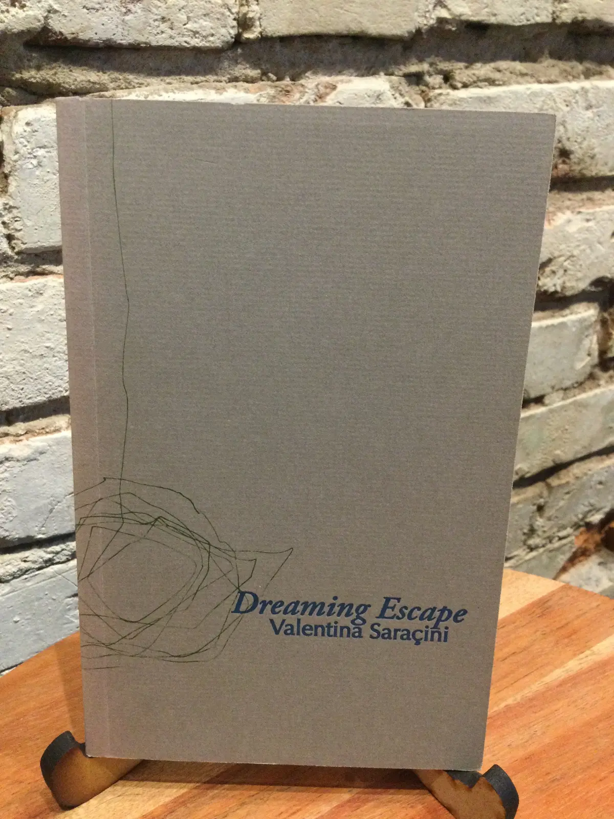 Saraçini, Valentina: Dreaming Escape [Used Paperback] 1