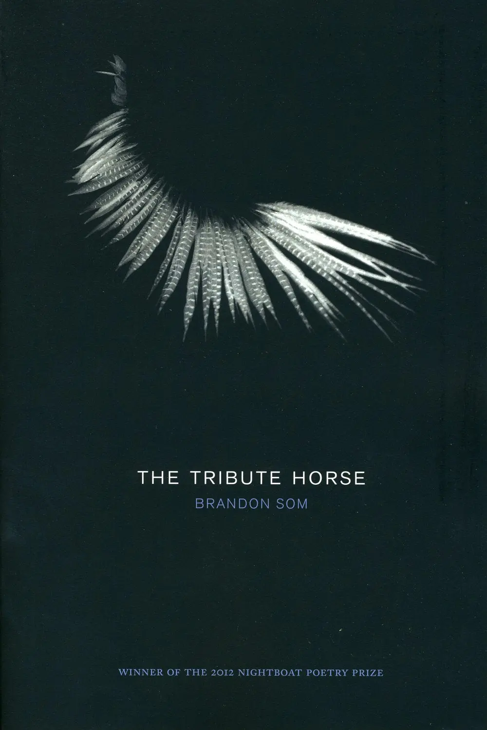Som, Brandon: The Tribute Horse 1