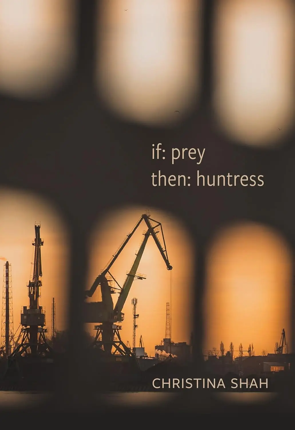 Shah, Christina: If: Prey, Then: Huntress 1