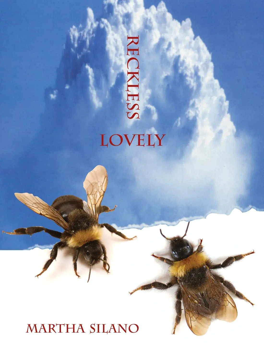 Silano, Martha: Reckless Lovely 1