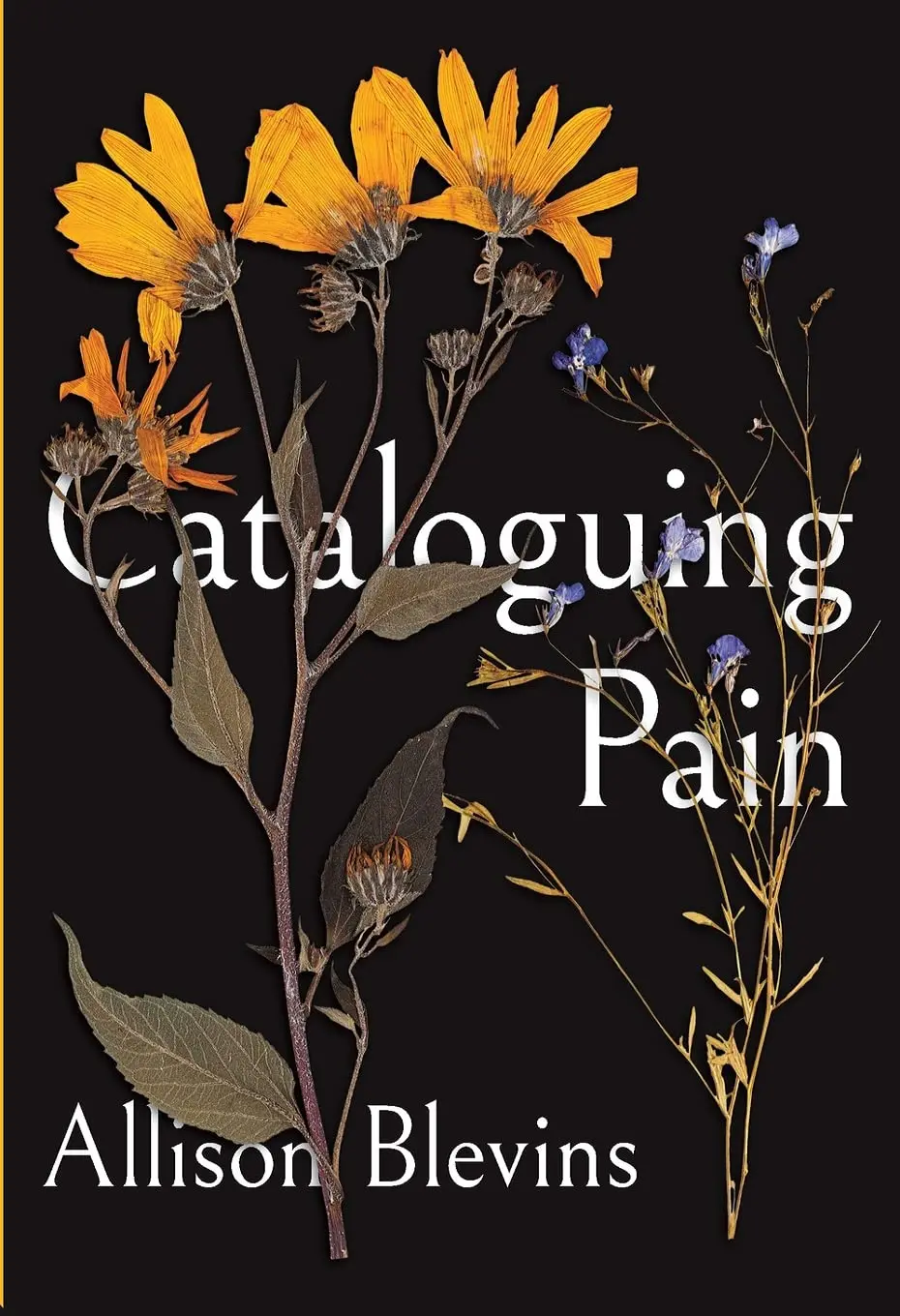 Blevins, Allison: Cataloguing Pain 1