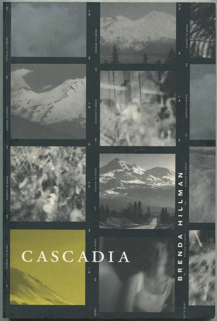 Hillman, Brenda: Cascadia 1