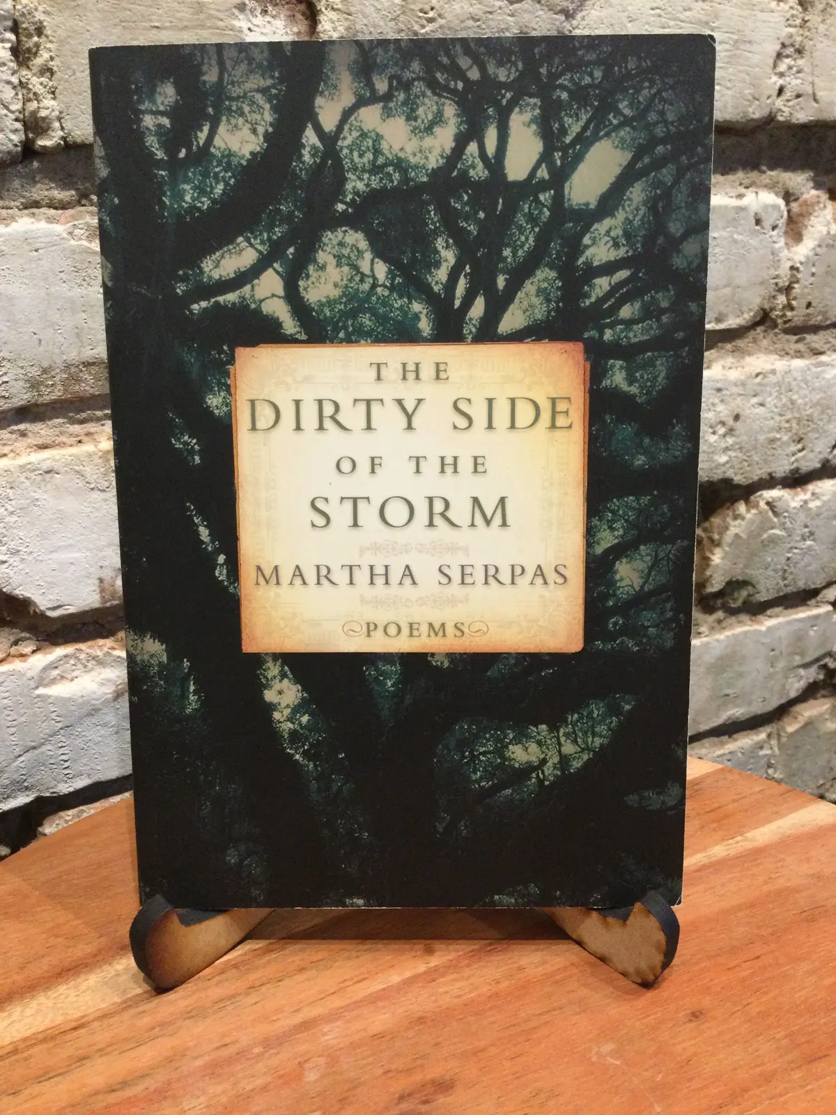 Serpas, Martha: The Dirty Side Of The Storm [Used Paperback] 1