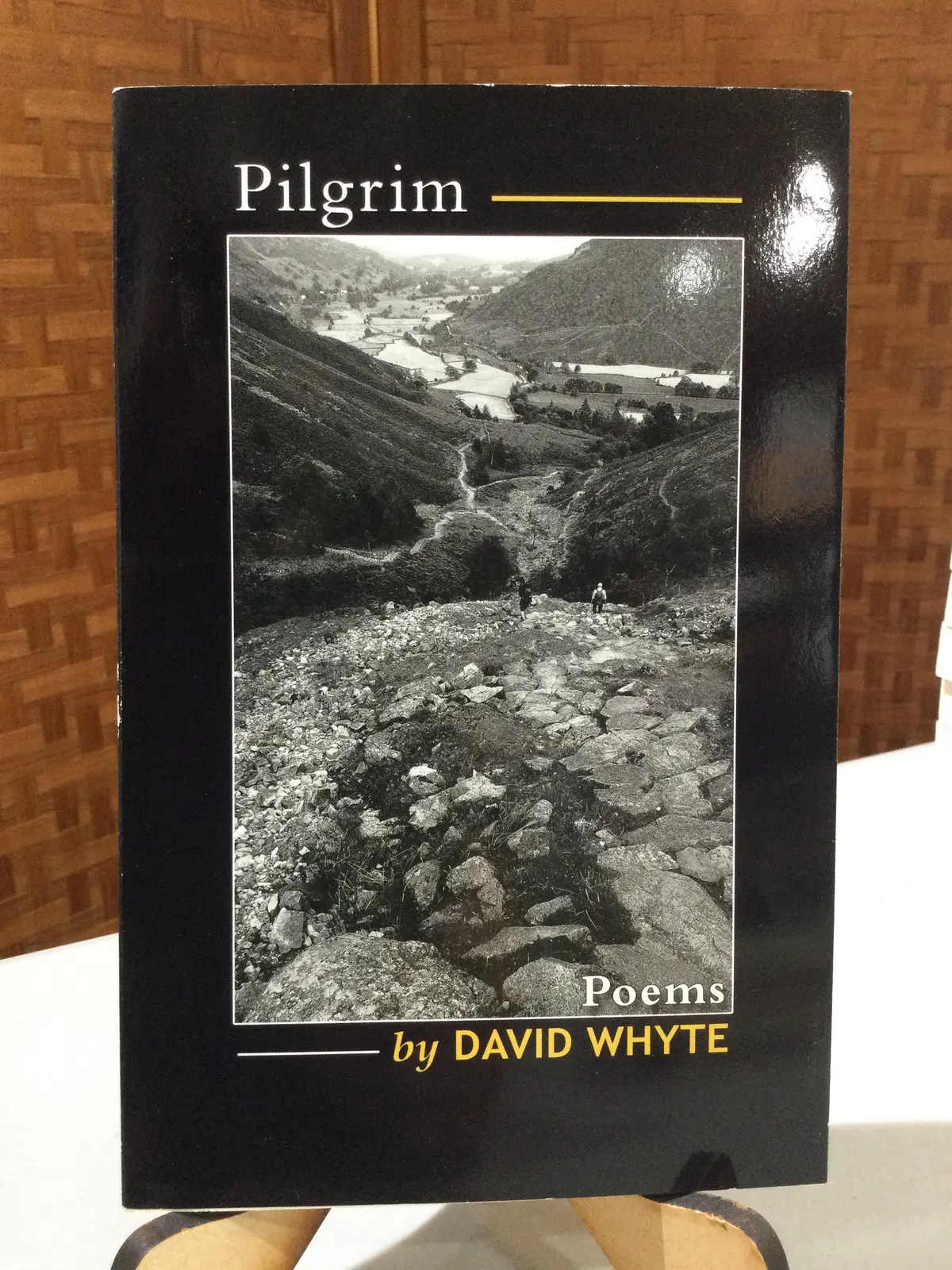 Whyte, David: Pilgrim [Used Paperback] 1