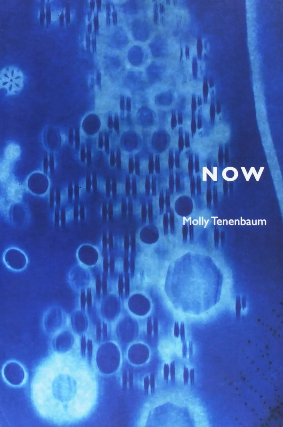 Tenenbaum, Molly: Now 1