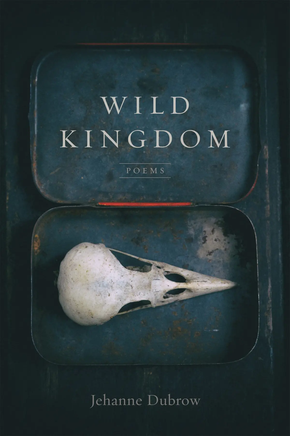 Dubrow, Jehanne: Wild Kingdom 1
