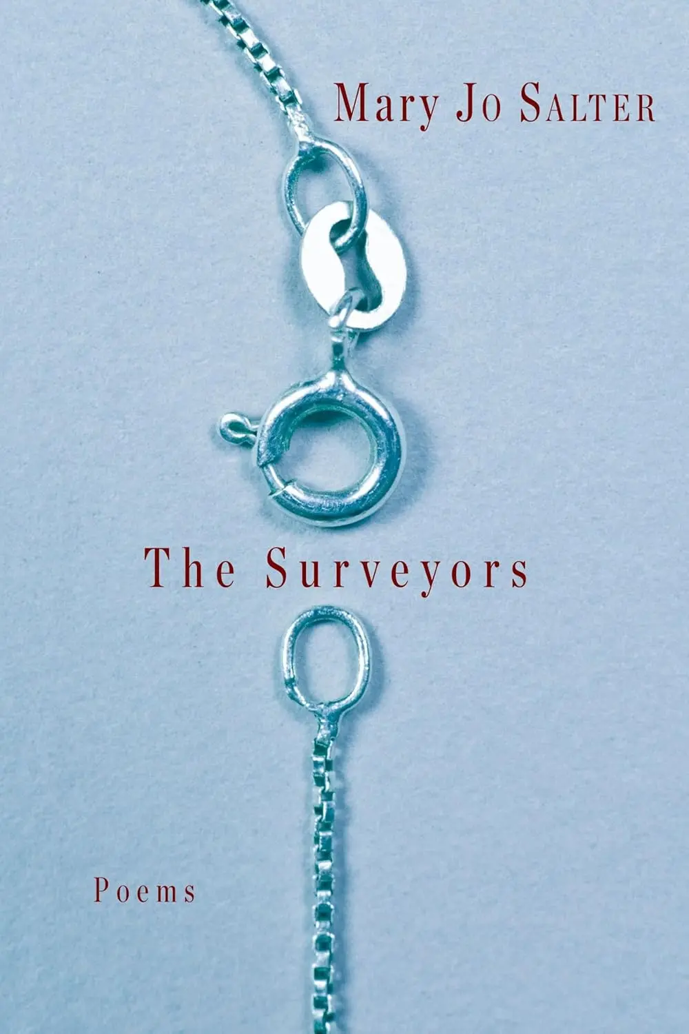 Salter, Mary Jo: The Surveyors (Hb) 1