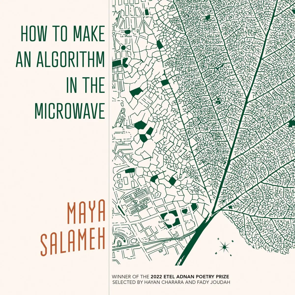 [B4g] Salameh, Maya: How To Make An Algorithm In The Microwave 1