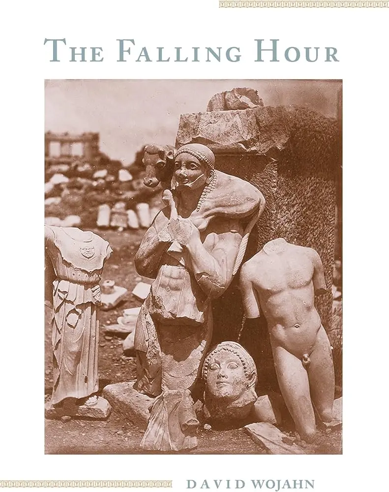 Wojahn, David: The Falling Hour 1