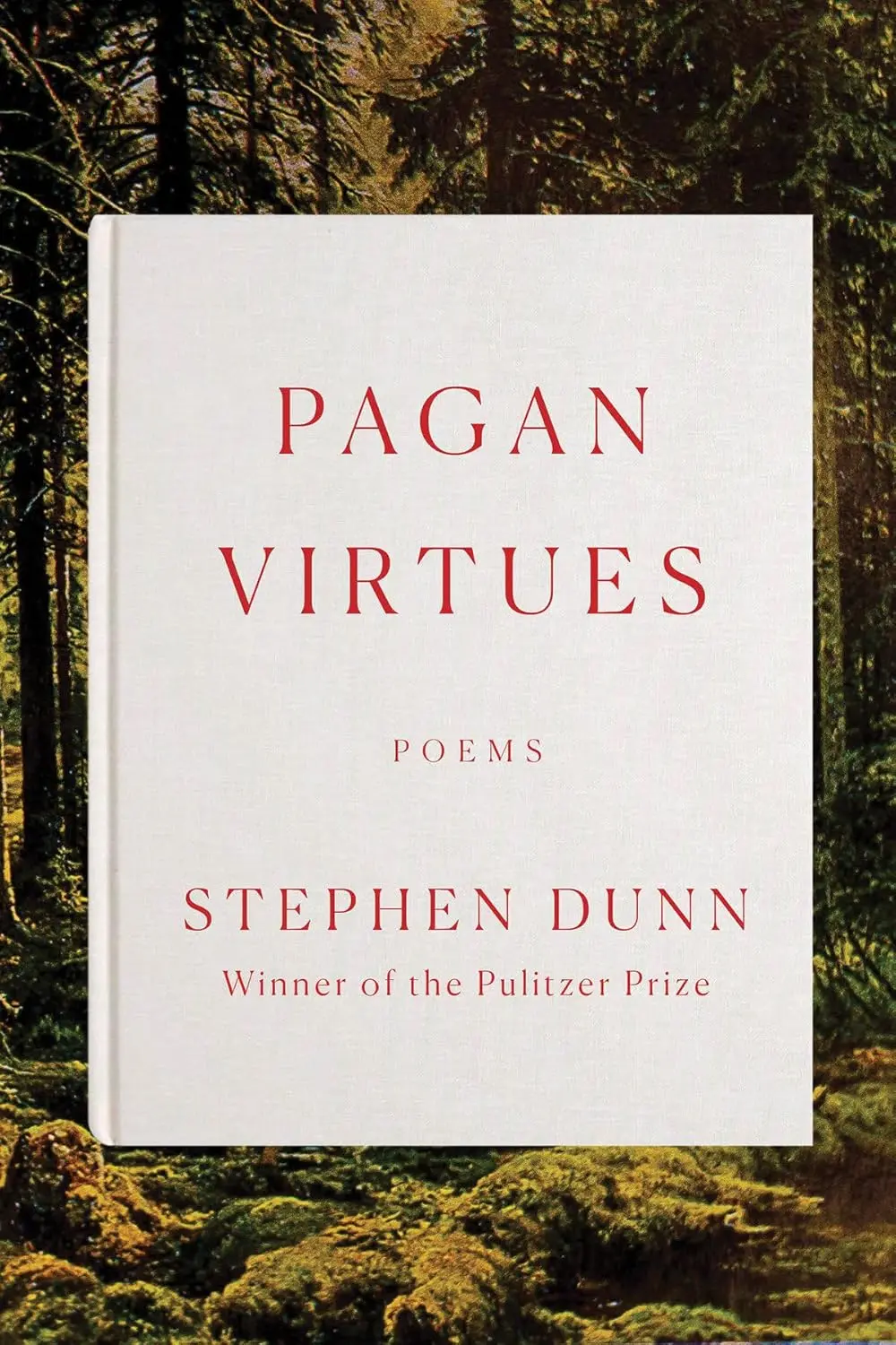 Dunn, Stephen: Pagan Virtues (Hb) 1