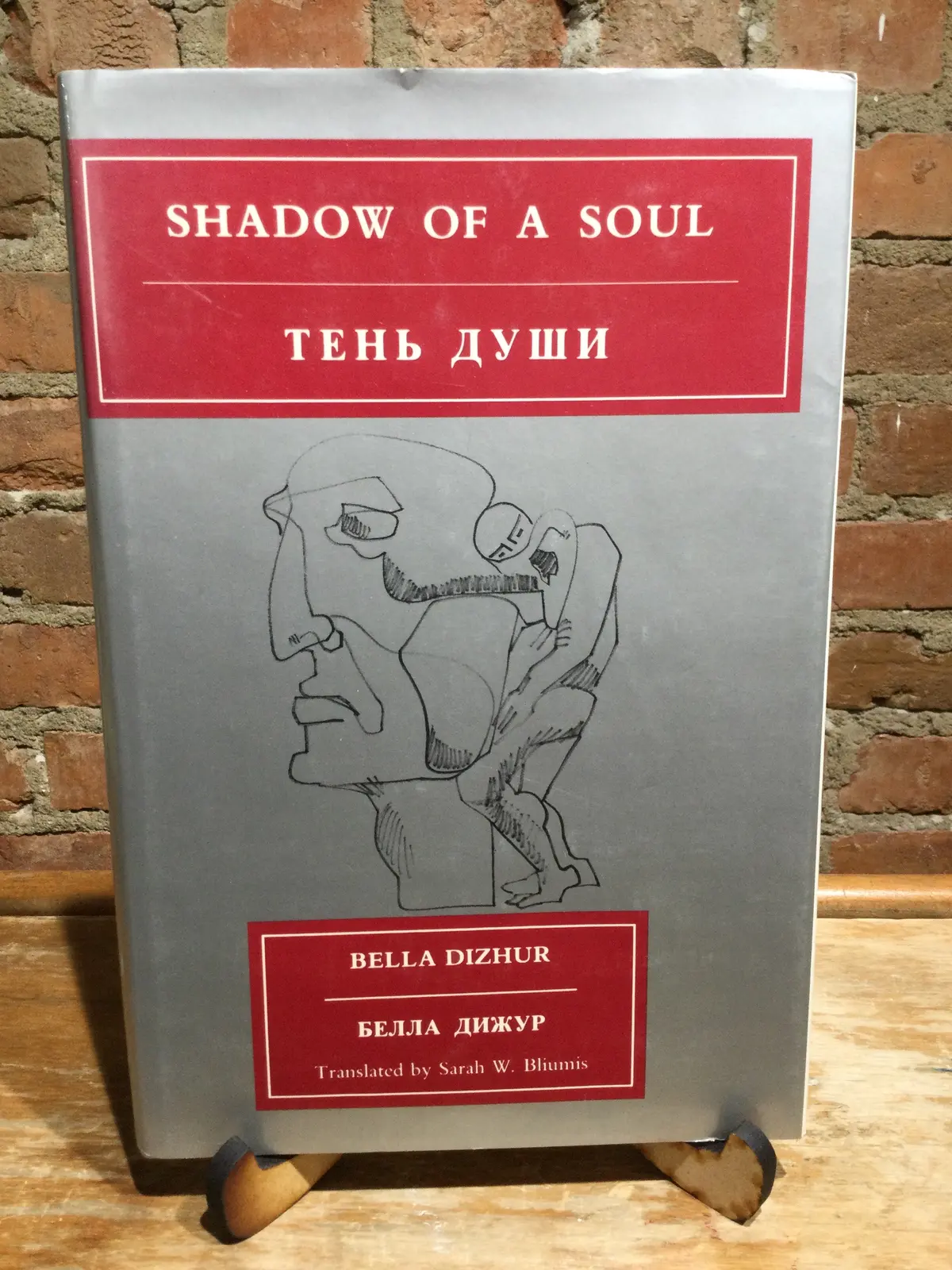[Rare] Dizhur, Bella: Shadow Of A Soul [Used Hardcover] 1