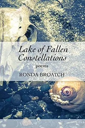 Broatch, Ronda: Lake Of Fallen Constellations 1